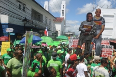 Marcha Verde Santiago