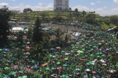 Marcha Verde Santiago