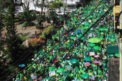 Marcha Verde Santiago