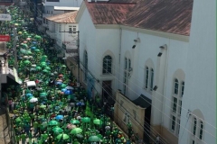 Marcha Verde Santiago