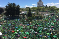 Marcha Verde Santiago