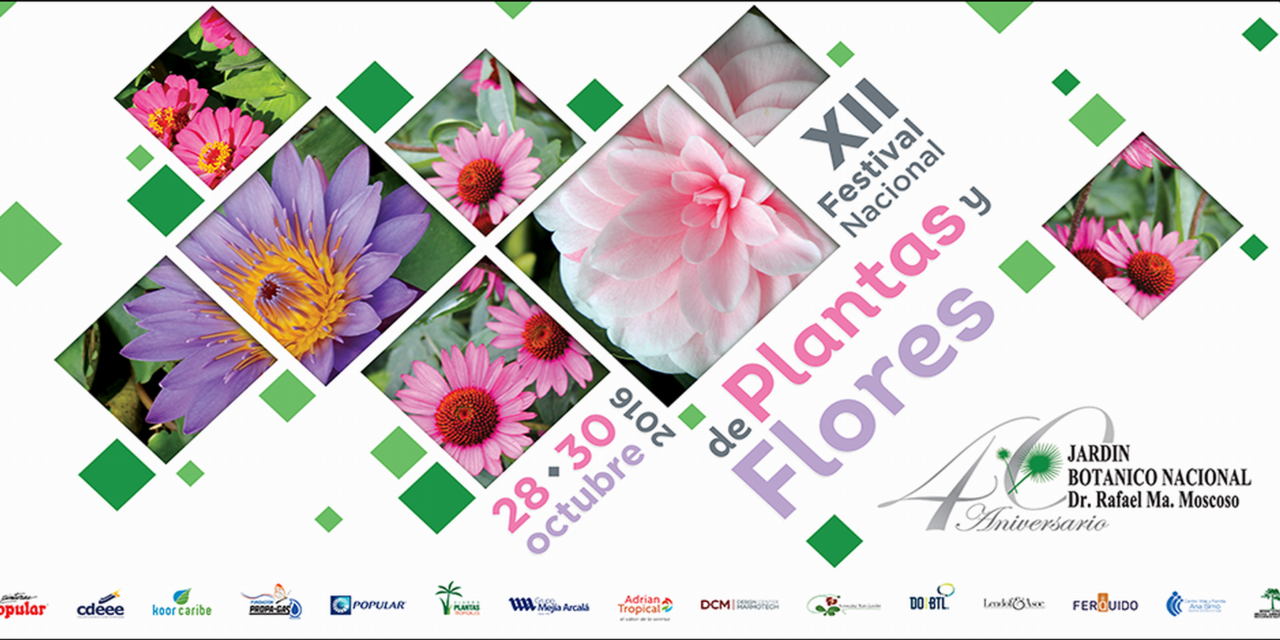 XII Festival de flores y plantas