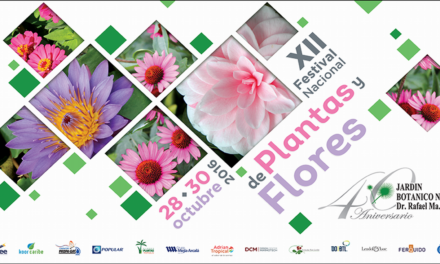 XII Festival de flores y plantas