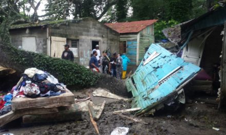 Árbol cae sobre vivienda