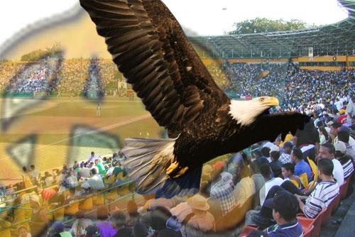 Aguilas enterraron al Escogido