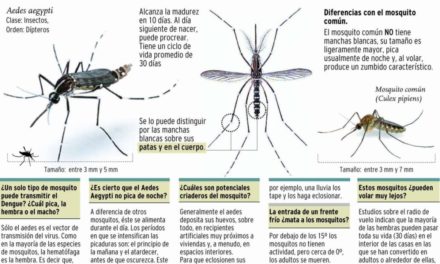 Universidad de Puerto Rico y Oxford crearán juntas vacuna universal contra dengue