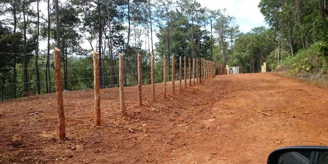 Medio Ambiente detiene crimen ecológico en zona montañosa de Jarabacoa