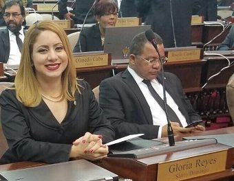 Diputada Gloria Reyes resta credibilidad a la rendición de cuentas