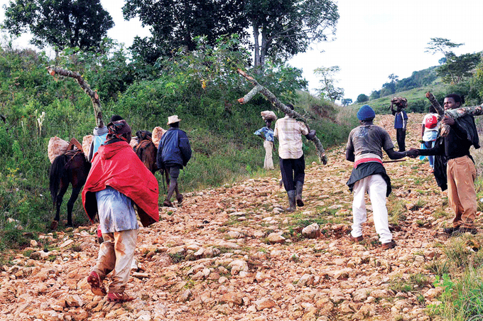 Pedernales agoniza, haitianos, Alcarrizos News Diario Digital