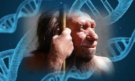 En nuestro ADN está la impronta del Neanderthal