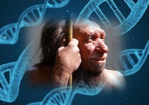 En nuestro ADN está la impronta del Neanderthal