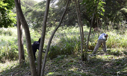 Medio Ambiente agiliza creación de dos grandes áreas ecológicas en Santiago