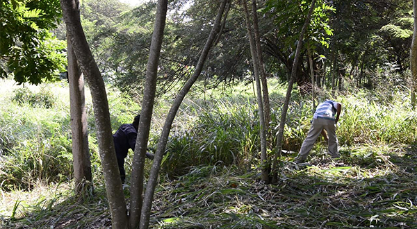 Medio Ambiente agiliza creación de dos grandes áreas ecológicas en Santiago