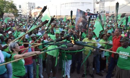 Dominicanos se animan en torno a la Marcha Verde en lucha contra la impunidad