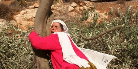 Nos están pidiendo un milagro por Palestina