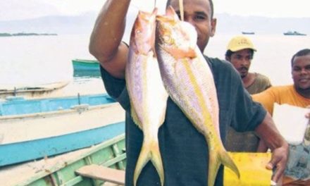 Abrirán centro de acopio para pescadores en el Merca Santo Domingo