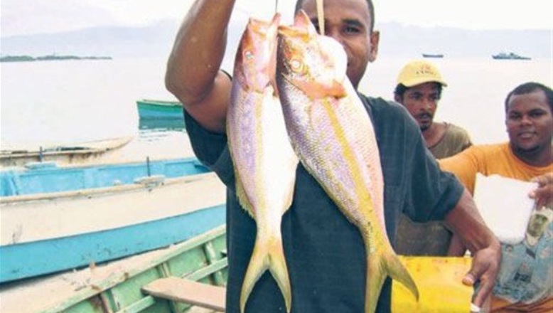 Abrirán centro de acopio para pescadores en el Merca Santo Domingo