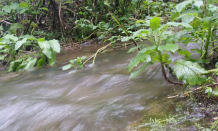 Ministerio de Medio Ambiente libera más ríos secuestrados en Valle Nuevo