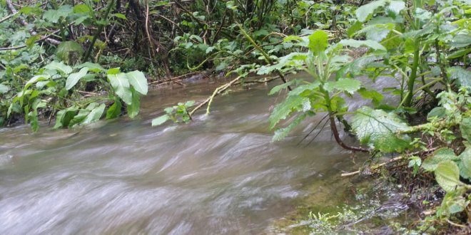 Ministerio de Medio Ambiente libera más ríos secuestrados en Valle Nuevo