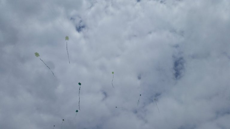 Chichiguazo contra la corrupción, Alcarrizos News Diario Digital