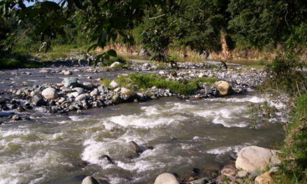 Propietarios de finca intentan abrir camino en el río Yaque del Norte