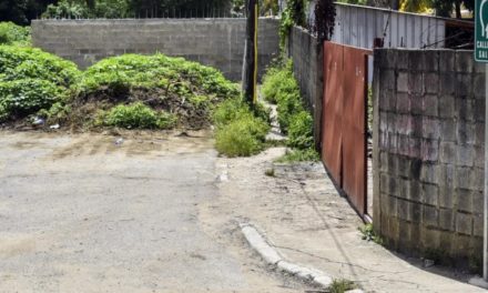 Vecinos de Alameda y San Miguel enfrentados por el cierre de una calle