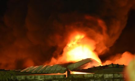 Un fuego destruye parte de la fábrica de plásticos Termo Envases en ZF de Haina