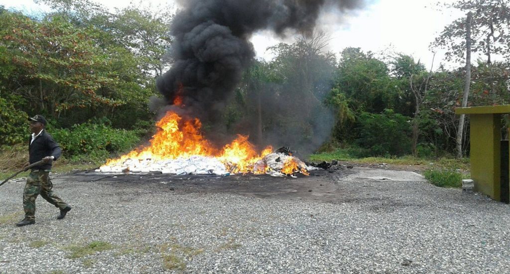 Autoridades incineran 65,947 kilogramos de sustancias prohibidas