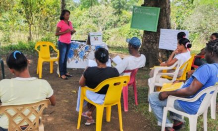 Dice el gobierno que ocho municipios y el Distrito Nacional ya están libres del analfabetismo