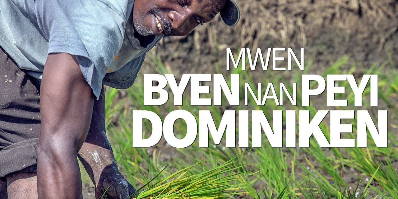 Retiran publicidad fusionista «Mwen byen nan peyi Dominiken» del portal de la Presidencia