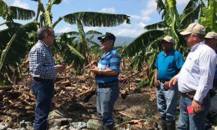 Estiman pérdidas millonarias en agro; inundaciones siguen causando daños