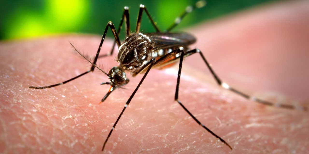Moradores de Los Alcarrizos denuncian casos de dengue