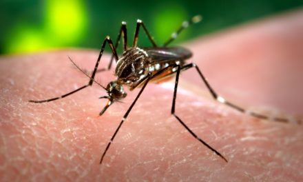 Moradores de Los Alcarrizos denuncian casos de dengue