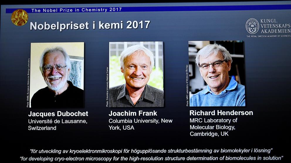 La técnica para ver biomoléculas en 3D gana el Nobel de Química