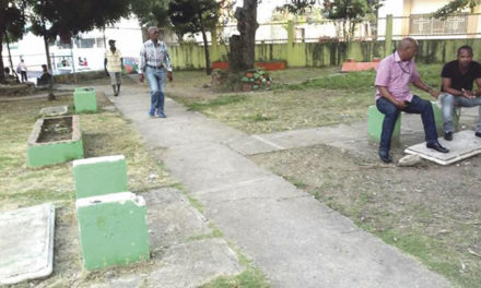 Comunitarios opuestos a la modernidad del Ayuntamiento que arrasa con la naturaleza