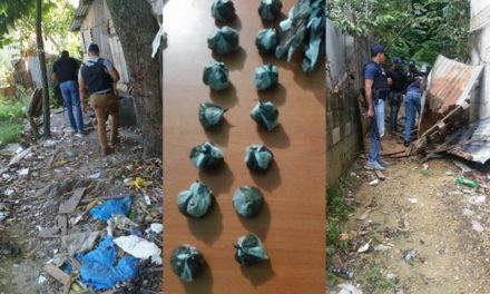 DICAN apresa cuatro y ocupa 32 porciones de marihuana en Los Alcarrizos y Santo Domingo Oeste