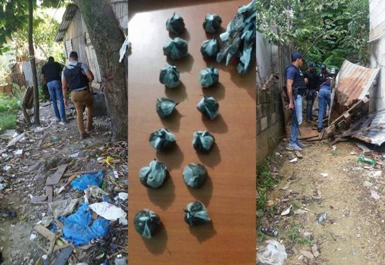 DICAN apresa cuatro y ocupa 32 porciones de marihuana en Los Alcarrizos y Santo Domingo Oeste, Alcarrizos News Diario Digital