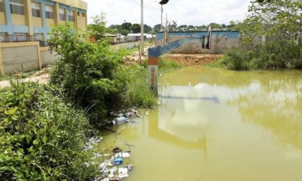 La “laguna de la malaria” es un foco de temor en Los Alcarrizos