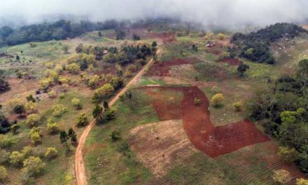 Academia de Ciencias denuncia “devastación” de cuenca del río Mulito