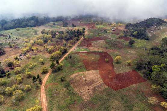 Academia de Ciencias denuncia “devastación” de cuenca del río Mulito