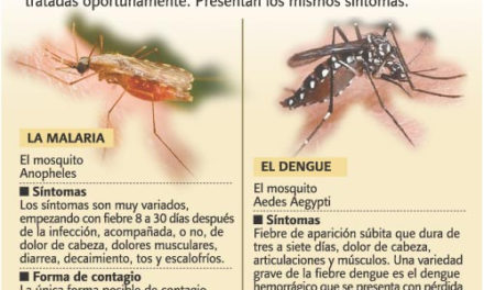 El dengue y la malaria vuelven a azotar: se reportan casos de malaria en Los Alcarrizos