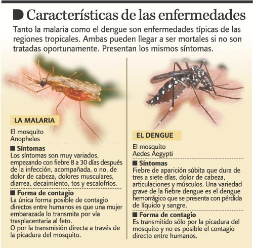 El dengue y la malaria vuelven a azotar: se reportan casos de malaria en Los Alcarrizos