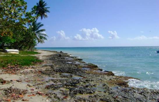 Defensores medio ambiente exigen se detenga construcción de hotel en Parque Nacional del Este