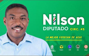 Nilson Diputado