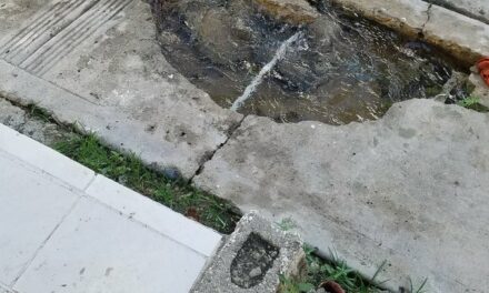 Un año desperdiciando agua ante la mirada indiferente de las autoridades