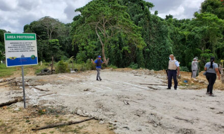 Rescatan márgenes de Arroyo Yaguasa