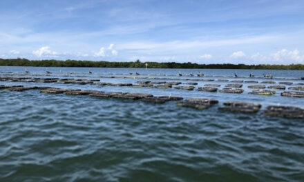 Evacuación en Piney Point, Florida