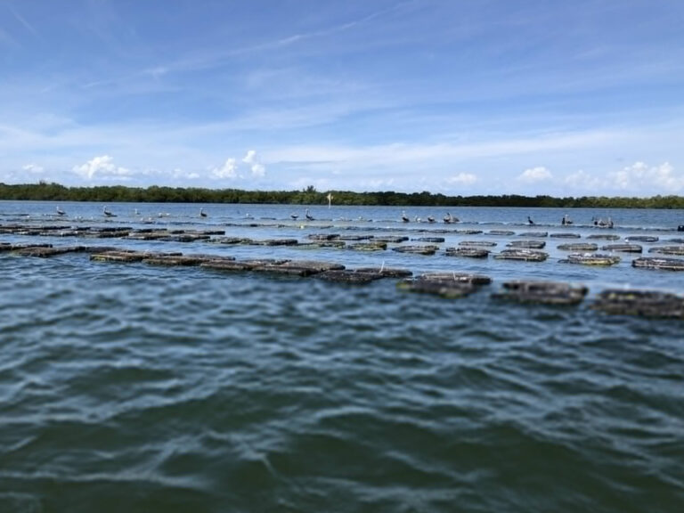 Evacuación en Piney Point, Florida