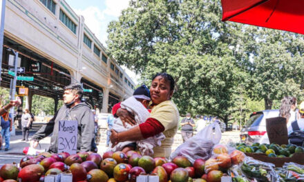 Comunidad del Bronx se solidariza con vendedora ambulante hispana