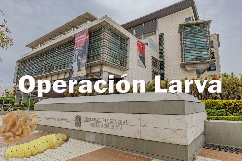 Operación Larva desarticula red de lavado de activos